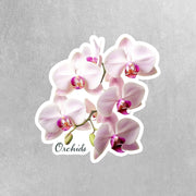 Orchids Sticker | Orchid Sticker | Flower Stickers