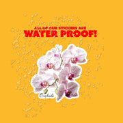 Orchids Sticker | Orchid Sticker | Flower Stickers