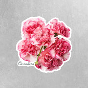 Carnations Sticker | Carnation Sticker | Flower Stickers