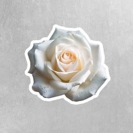 White Rose Sticker | One Rose Sticker | Flower Stickers