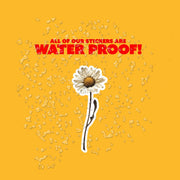 Dry Daisy Sticker - Single Dry Daisy Sticker - Flower Sticker