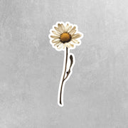 Dry Daisy Sticker - Single Dry Daisy Sticker - Flower Sticker