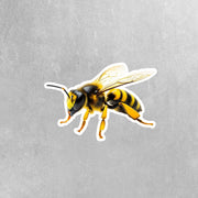 Hornet Sticker - Hornet Decal - Water Bottles & Home Decor - Insect Art Unique Gift Idea