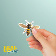 Hornet Sticker - Hornet Decal - Water Bottles & Home Decor - Insect Art Unique Gift Idea