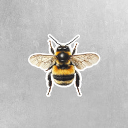 Bee Sticker | Bumble Bee Decal for Laptop, Water Bottle, Phone, Cute Insect Vinyl Art, Bee Lover Gift, Nature Decor