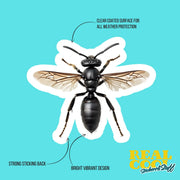 Black Wasp Sticker | Wasp Sticker | Wasp Decal | Insect Sticker