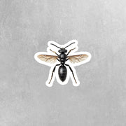 Black Wasp Sticker | Wasp Sticker | Wasp Decal | Insect Sticker