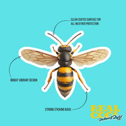 Hornet Sticker - Hornet Decal - Water Bottles & Home Decor - Insect Art Unique Gift Idea