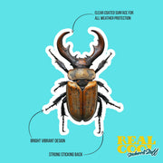 Stag Beetle Sticker - Beetle Decal - Unique Insect Art for Journals, Laptops & Decals - Nature Lover Gift, Waterproof, Durable Design