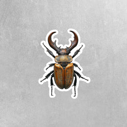 Stag Beetle Sticker - Beetle Decal - Unique Insect Art for Journals, Laptops & Decals - Nature Lover Gift, Waterproof, Durable Design
