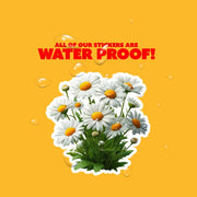 Daisys Sticker | Flowers Decal | Daisy Sticker