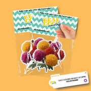 Chrysanthemum Sticker | Flower Stickers | Bouquet of Chrysanthemums Sticker