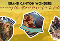 Grand Canyon Sticker