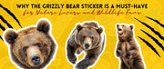 Grizzly Bear Sticker
