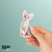 Sphynx Cat Sticker | Cat Sticker | Cat Decal | Hairless Cat Stickers