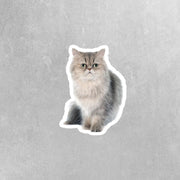 Persian Cat Sticker - Cat Decal - Cat Sticker - Persian Cat - Cat Mom Stickers