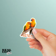 Sun Conure Sticker, Conure Sticker, Parrot Stickers, Sun Conures Decal
