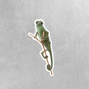 Chameleon Sticker | Lizard Sticker | Chameleon Decal | Reptile Sticker