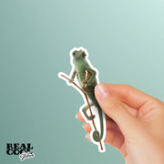 Chameleon Sticker | Lizard Sticker | Chameleon Decal | Reptile Sticker