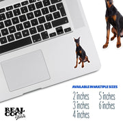 Doberman Sticker, Doberman Decal, Doberman Stickers