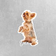 Yorkie Sticker | Yorkie Stickers | Yorkie Sitting Stickers