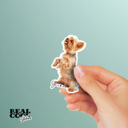 Yorkie Sticker | Yorkie Stickers | Yorkie Sitting Stickers