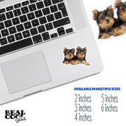 Yorkie Sticker | Yorkie Sisters Stickers | Yorkie's Sticker