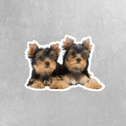 Yorkie Sticker | Yorkie Sisters Stickers | Yorkie's Sticker