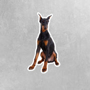Doberman Sticker, Doberman Decal, Doberman Stickers