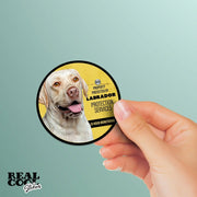 Labrador Sticker | Labrador Retriever Decal | Labrador Warning Laptop Sticker