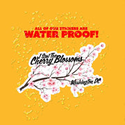 Cherry Blossom Sticker | Washington DC Sticker | Cherry Blossoms