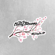 Cherry Blossom Sticker | Washington DC Sticker | Cherry Blossoms