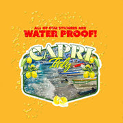 Capri Italy Sticker | Isle Of Capri Sticker | Italy Sticker