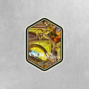 Vatican Museum Sticker | Vatican City Sticker | Italy Sticker