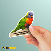 Rainbow Lorikeet Sticker | Lorikeet Decal | Lori Sticker