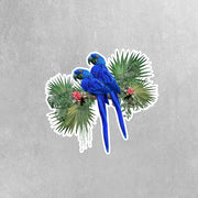 Hyacinth Macaw Art Sticker | Parrot Stickers | Macaw Decal