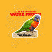 Rainbow Lorikeet Sticker | Lorikeet Decal | Lori Sticker