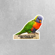 Rainbow Lorikeet Sticker | Lorikeet Decal | Lori Sticker