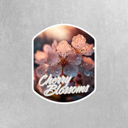 Cherry Blossom Sticker | Cherry Blossoms | Cherry Blossom Decal