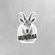 Montana Sticker | Montana Sticker | Travel Stickers