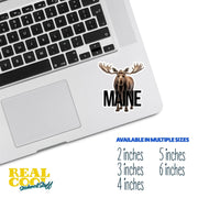 Maine Sticker | Maine Moose Sticker