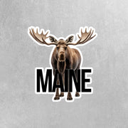 Maine Sticker | Maine Moose Sticker