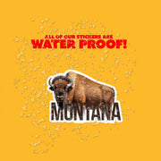 Montana Sticker | Montana Sticker | Travel Stickers