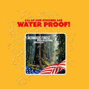 California Redwoods Sticker | Redwood Forest Sticker | California Sticker