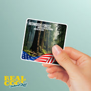 California Redwoods Sticker | Redwood Forest Sticker | California Sticker