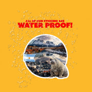 Argentine Patagonia Sticker | Argentina Decal | Argentina Patagonia Decal