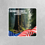 California Redwoods Sticker | Redwood Forest Sticker | California Sticker