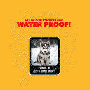 Husky Meme Sticker | Husky Sticker | Little Husky Sticker | Funny Husky Sticker