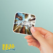 California Redwoods Sticker
