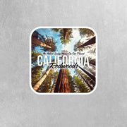 California Redwoods Sticker - Travel Stickers - California Sticker